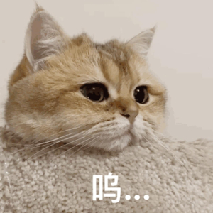 窝窝午夜看片http
